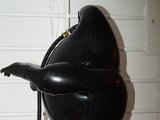 DSC04814.JPG