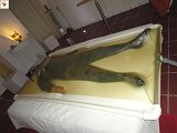 DSC00080.JPG