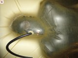 DSC00083.JPG