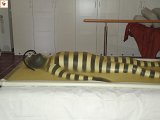 DSC00091.JPG