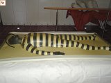 DSC00092.JPG