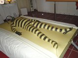 DSC00094.JPG