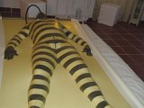 DSC00095.JPG