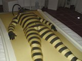 DSC00097.JPG