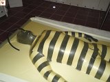 DSC00098.JPG