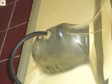 DSC00101.JPG