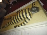 DSC00106.JPG