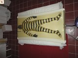 DSC00114.JPG