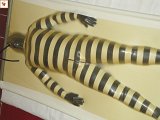DSC00117.JPG