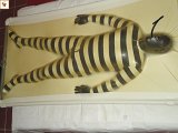 DSC00125.JPG