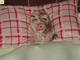 DSC00136.JPG
