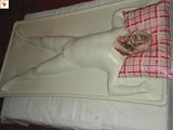 DSC00144.JPG