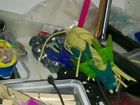 WP 20160507 058